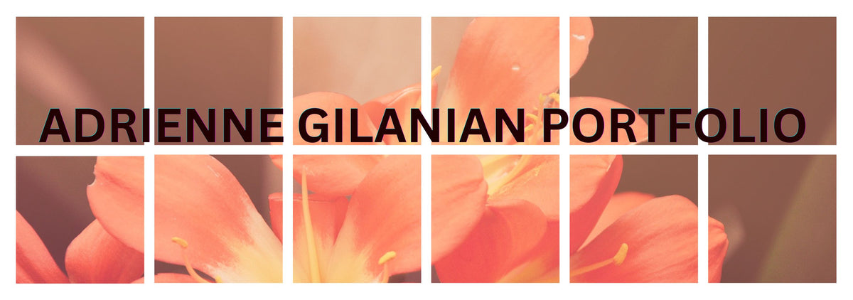 Adrienne Gilanian Portfolio